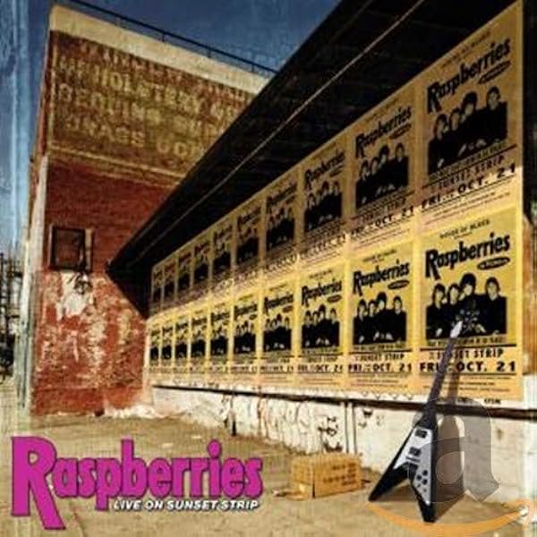 Amazon.com: RASPBERRIES POP ART LIVE: CDs & Vinyl